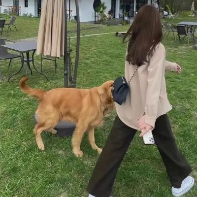 被遗忘的时光
